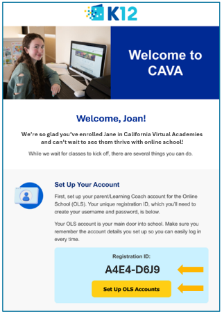 virtual school
