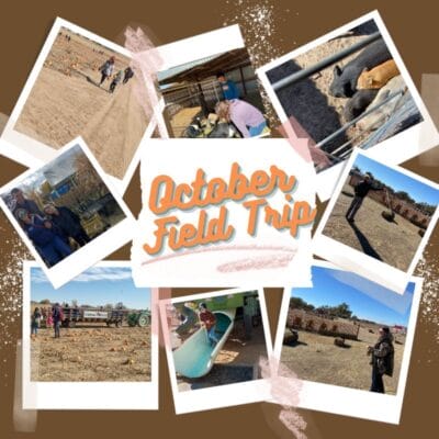 kids, animals, pumpkins in the october field trip