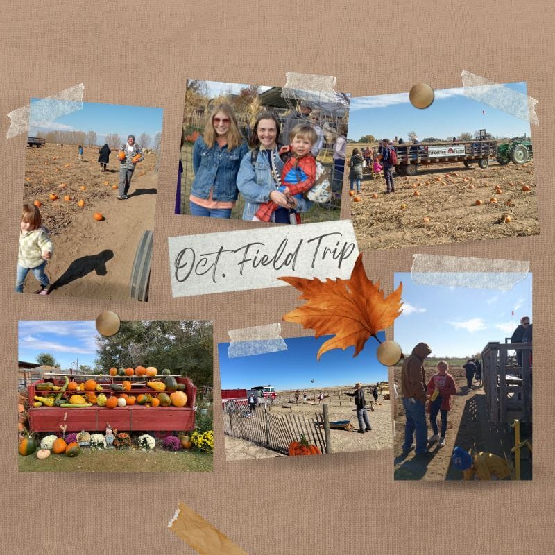 pumpkins field, kids, mothers in the October field trip