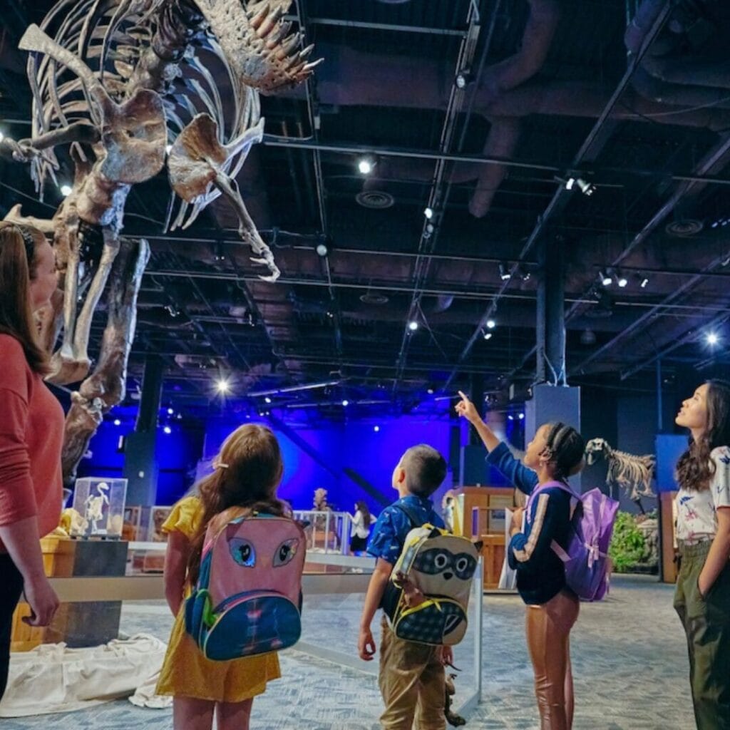 Students in a museum